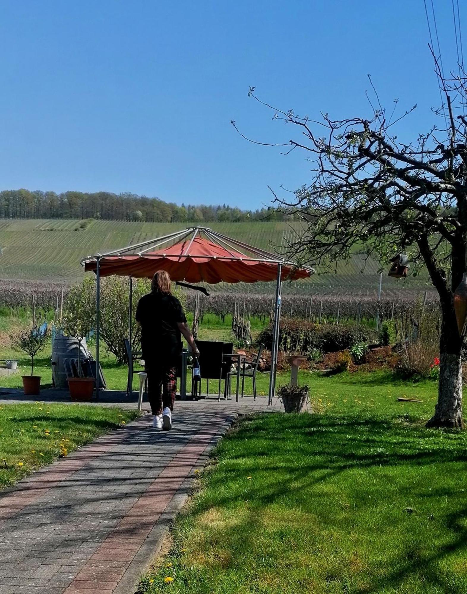 Weingut Tiliahof Bed & Breakfast Brauneberg Luaran gambar
