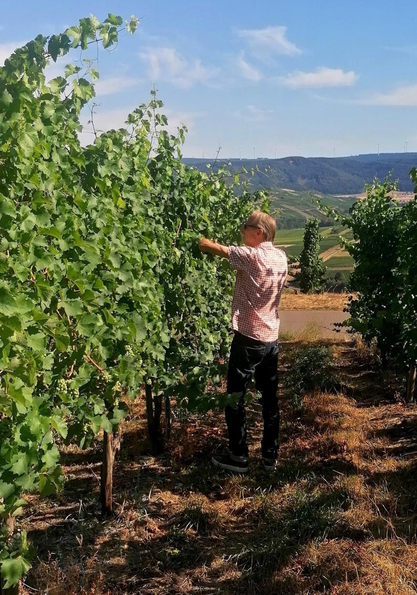 Weingut Tiliahof Bed & Breakfast Brauneberg Luaran gambar