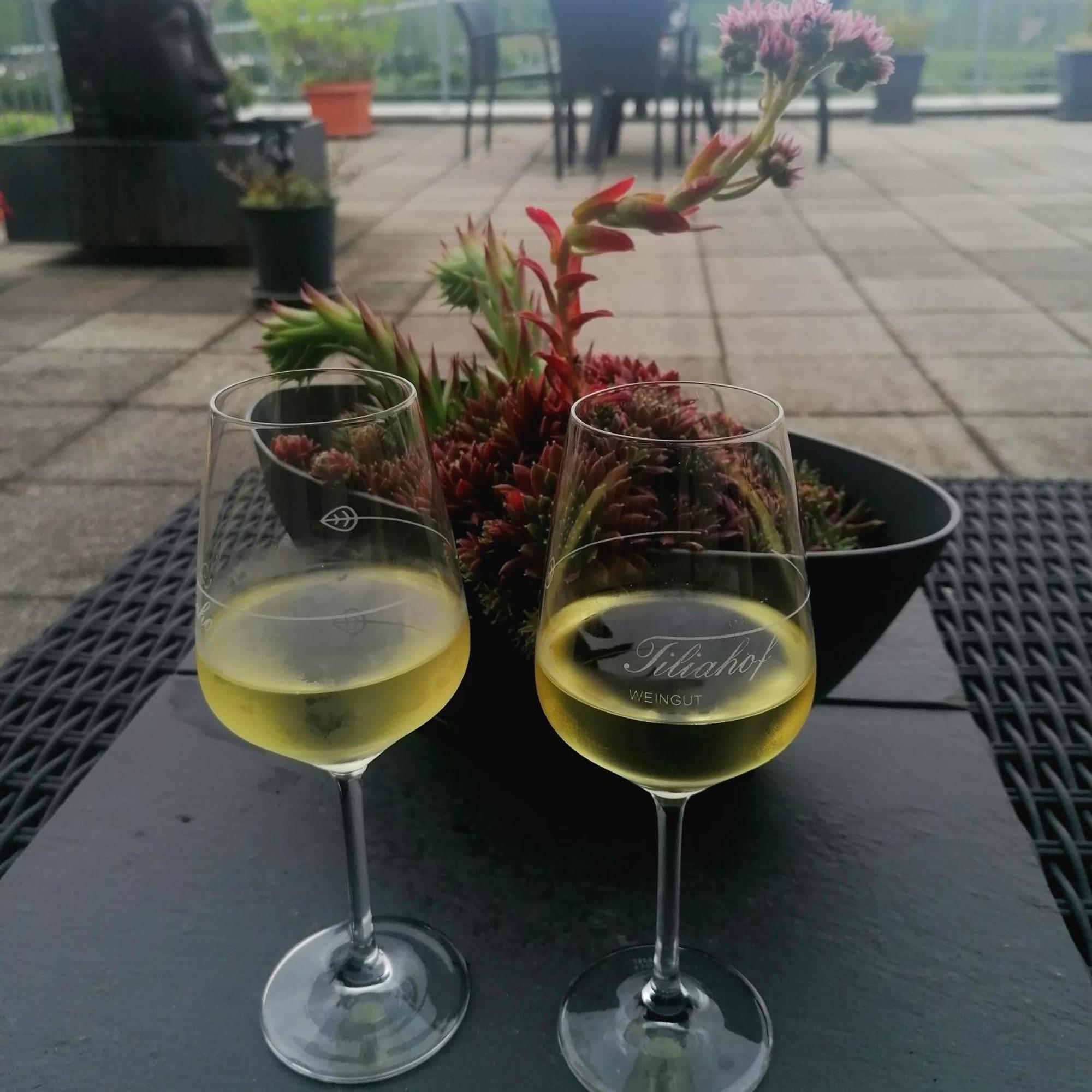 Weingut Tiliahof Bed & Breakfast Brauneberg Luaran gambar