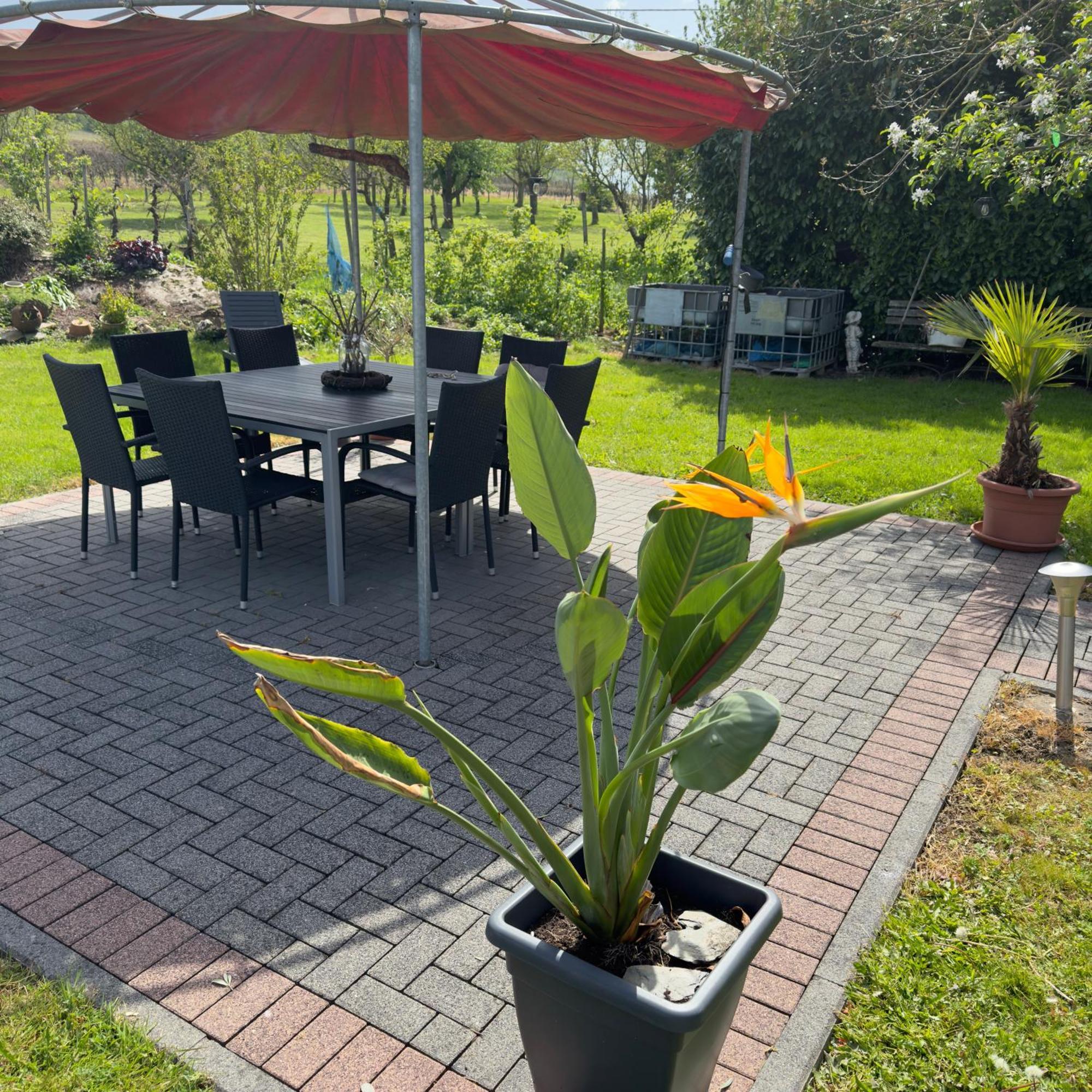 Weingut Tiliahof Bed & Breakfast Brauneberg Luaran gambar