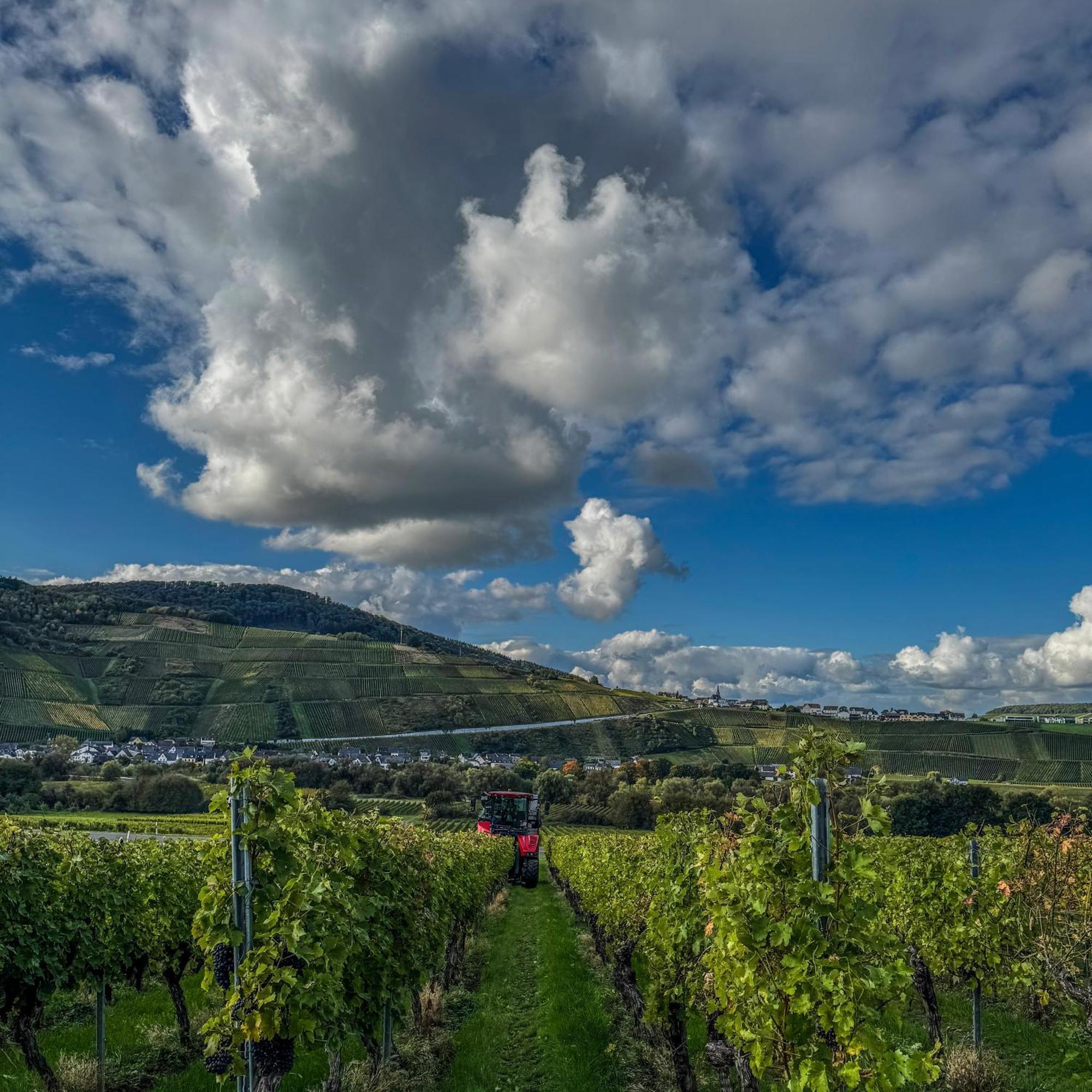 Weingut Tiliahof Bed & Breakfast Brauneberg Luaran gambar