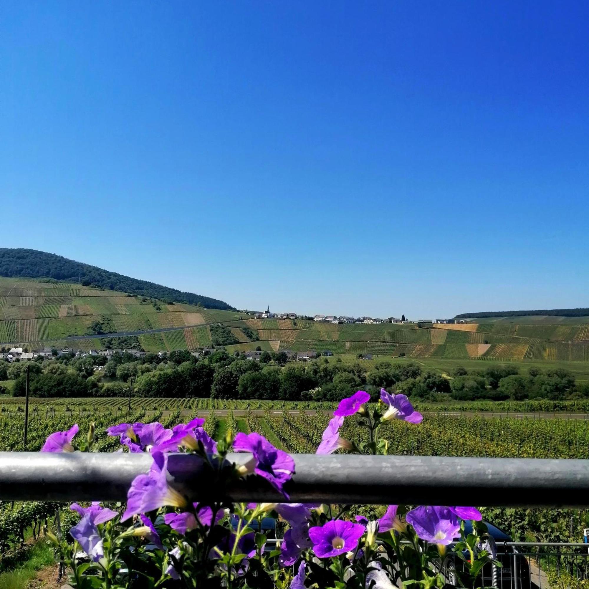Weingut Tiliahof Bed & Breakfast Brauneberg Luaran gambar