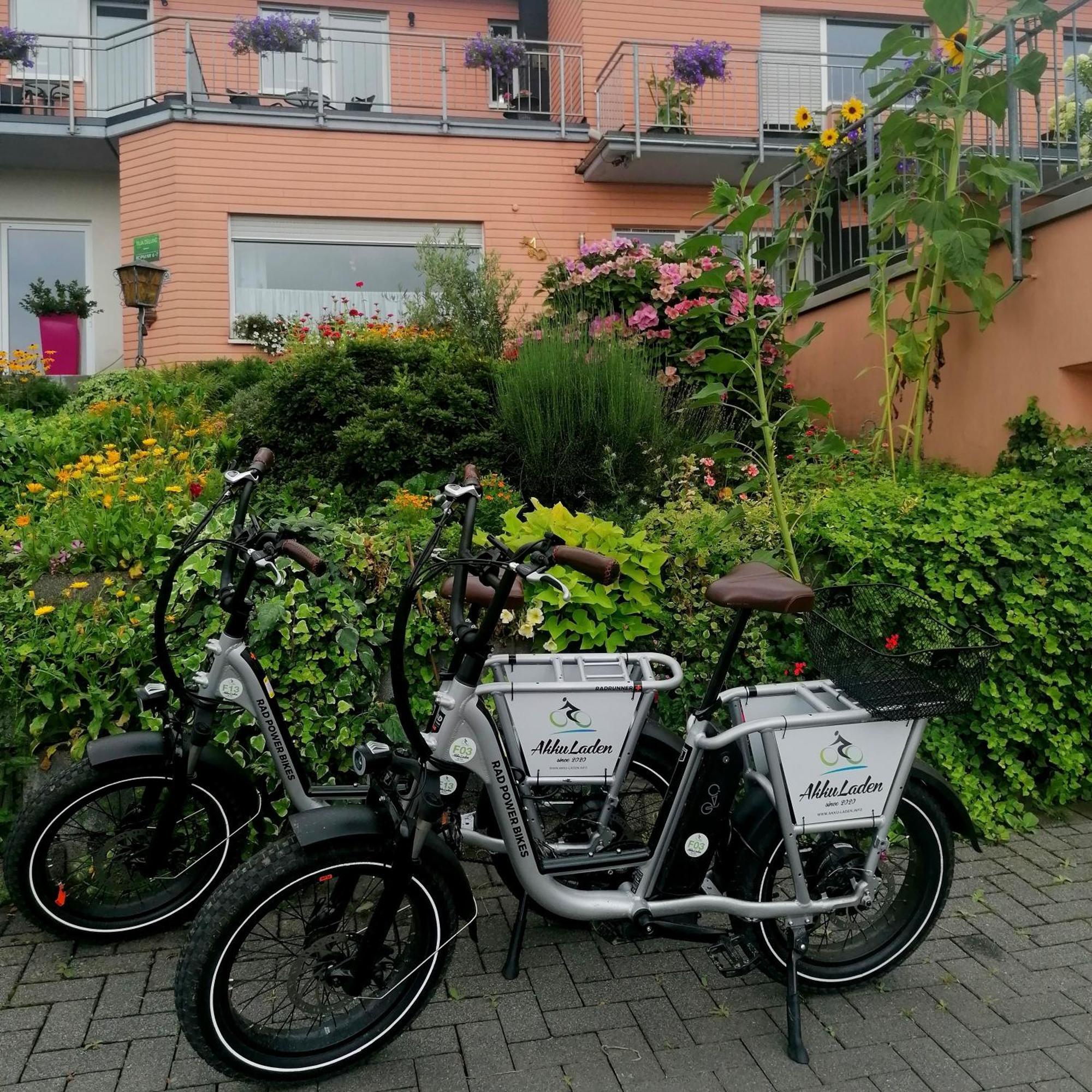 Weingut Tiliahof Bed & Breakfast Brauneberg Luaran gambar